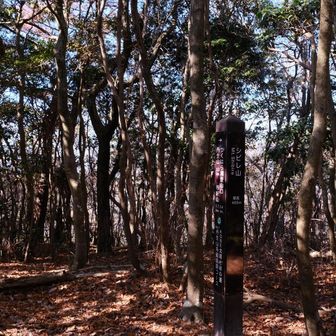 シビレ山😙
山名の由来は諸説あるそうです☝️修験道関連の水銀中毒説と方言由来の湿地説の2つが有力とか🤔