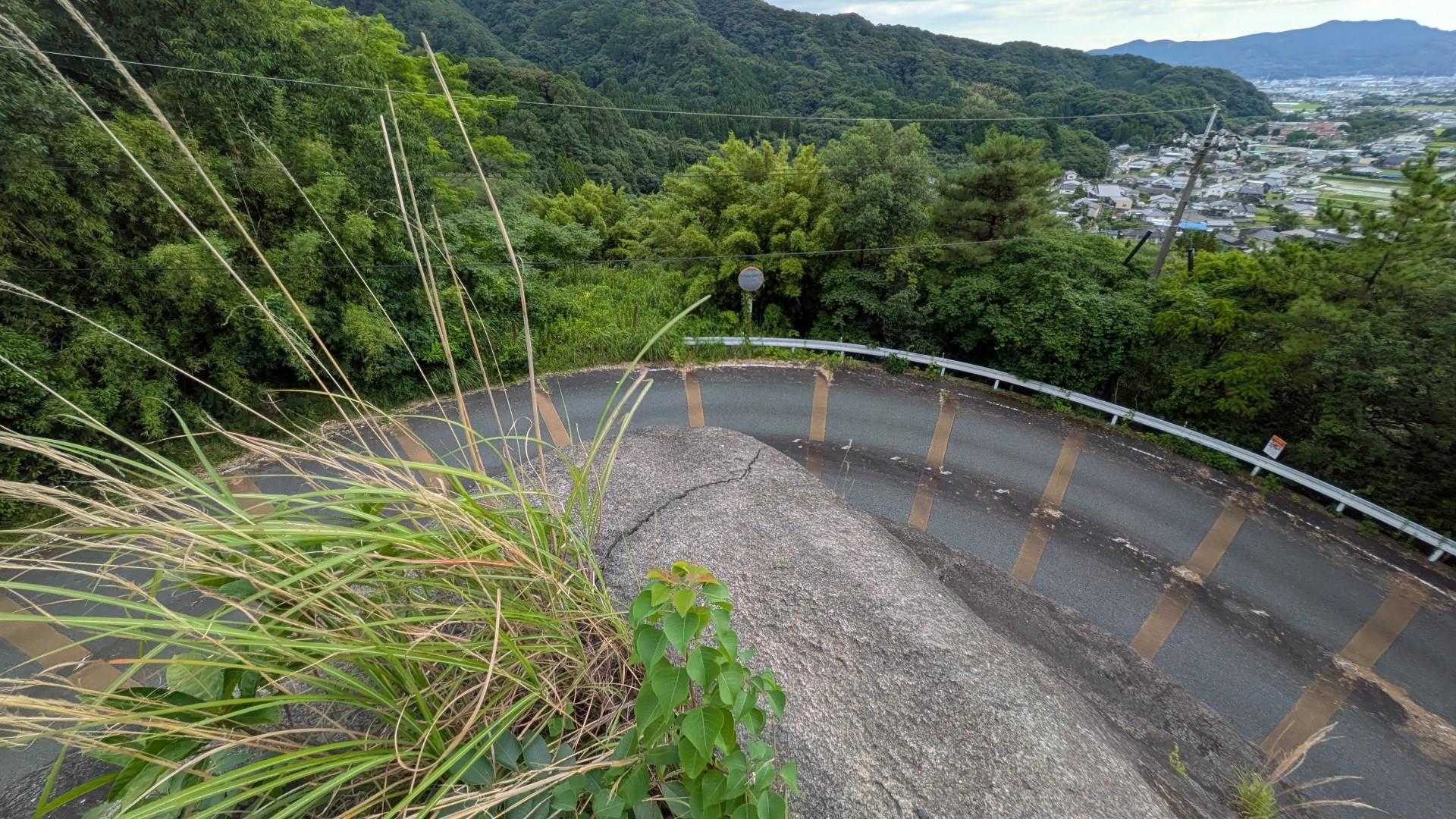 雁回山 往復コースの写真