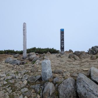 東川岳山頂