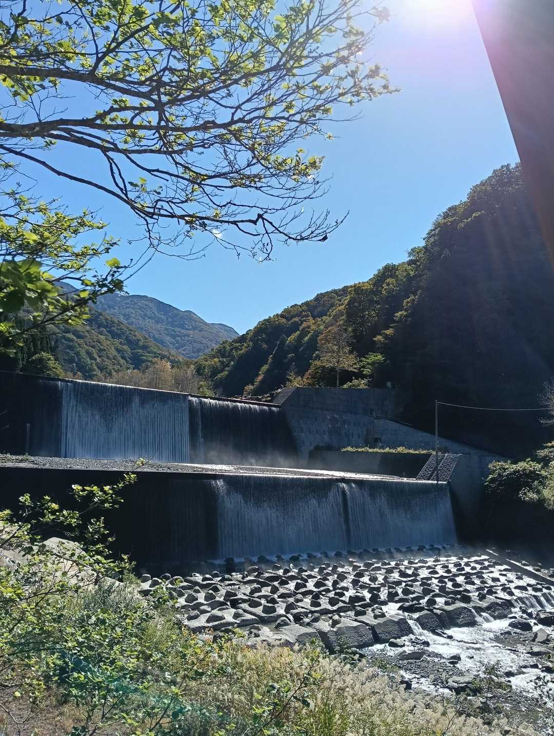 写真では分からないけど雪のようにドロノキのフワフワが舞ってます⚪