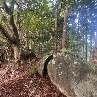 頂山東峰