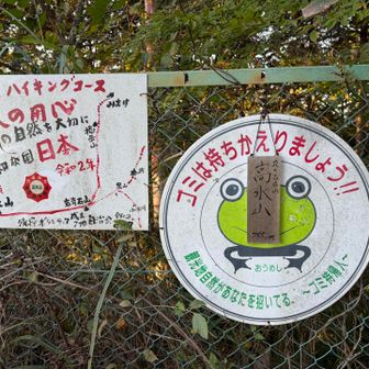 カエルの顔の真ん中に…山頂碑が
キョンシーか？