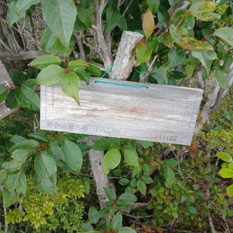 谷急山頂上はひらけて表妙義が一望できる