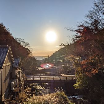 相模湾も見えます✨
