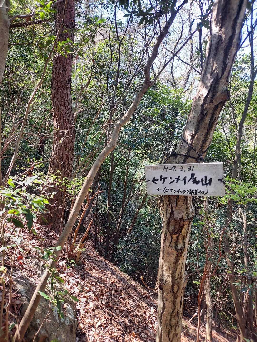 寄り道してケンメイ尾山へ⤴️💨

ロマンチック街道😀🤔😀