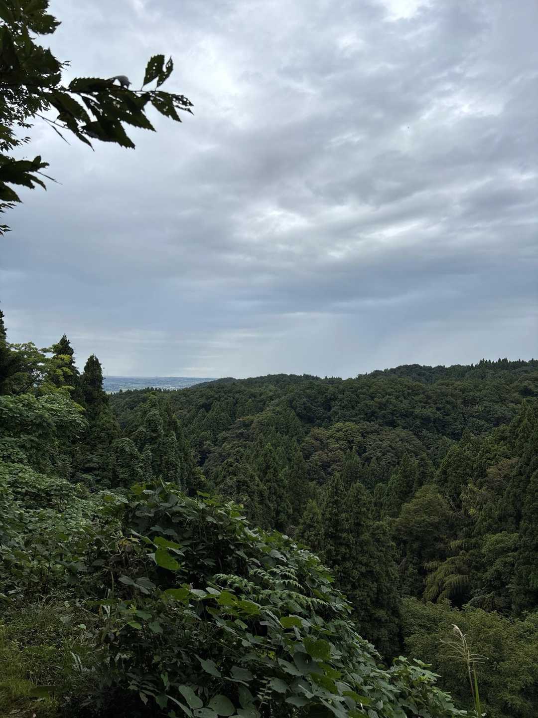 少し山が見えました。雲が厚いなぁ☁️〜