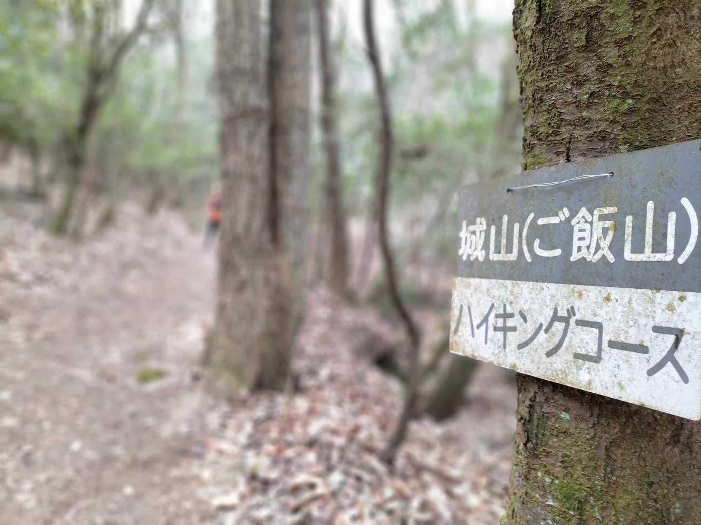 看板はたくさんあり、