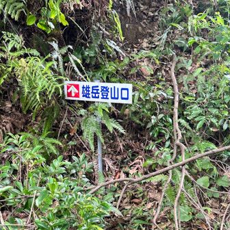 目的地