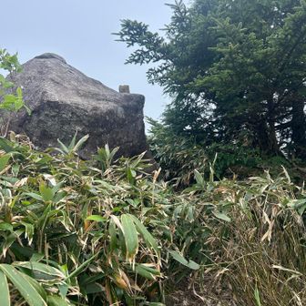 山頂付近