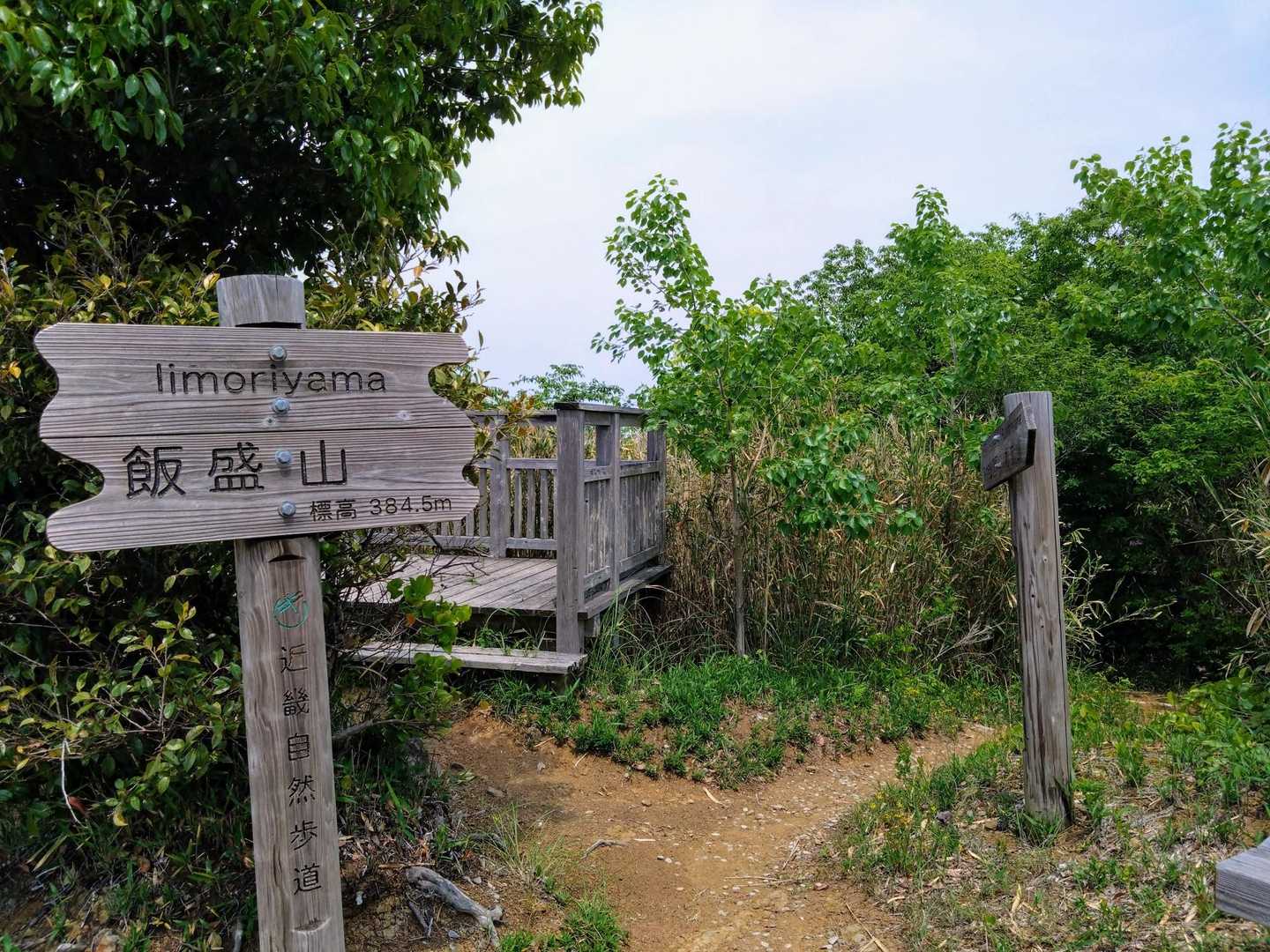 飯盛山の山頂の東側でハチがいました！