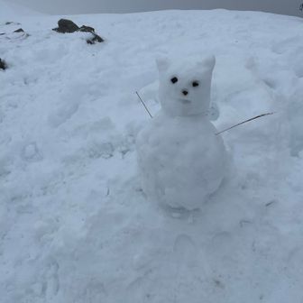 可愛い雪だるま⛄️⛄️