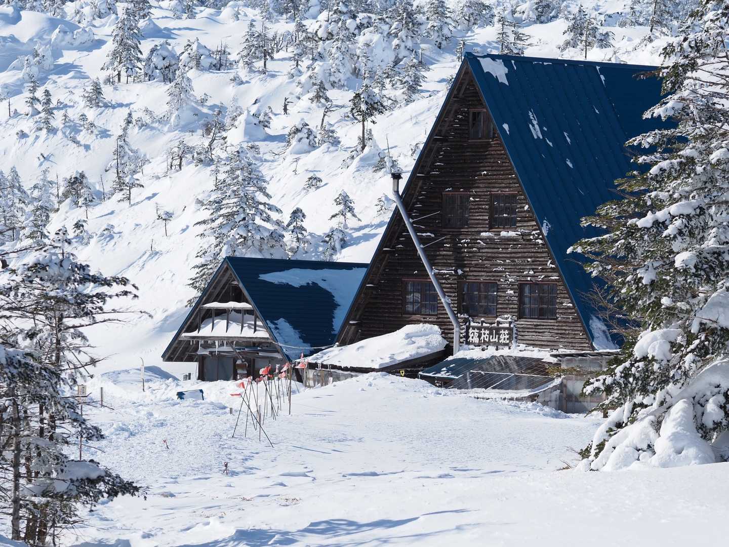とにかく撮る撮る📸