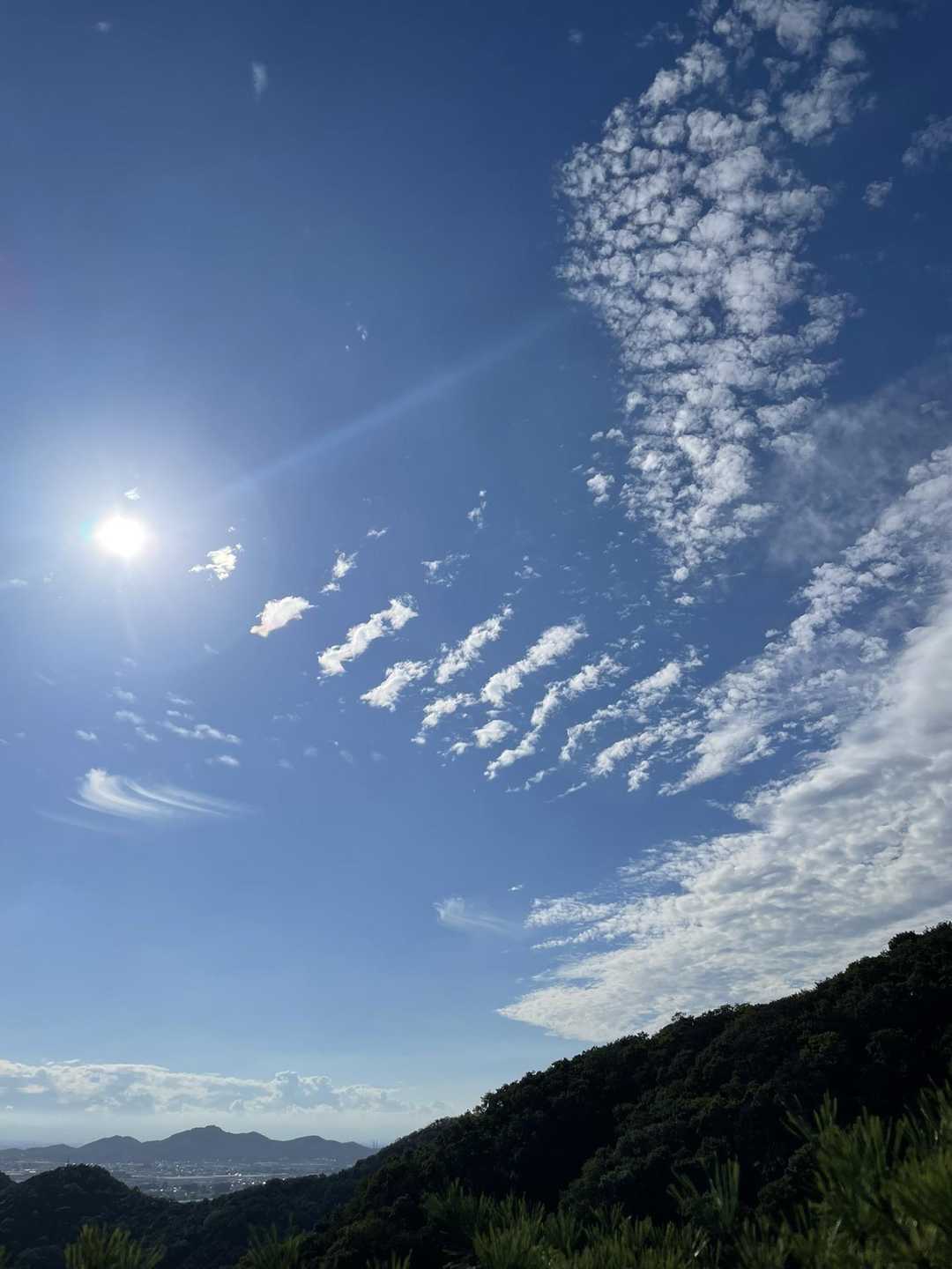 いい天気☀️