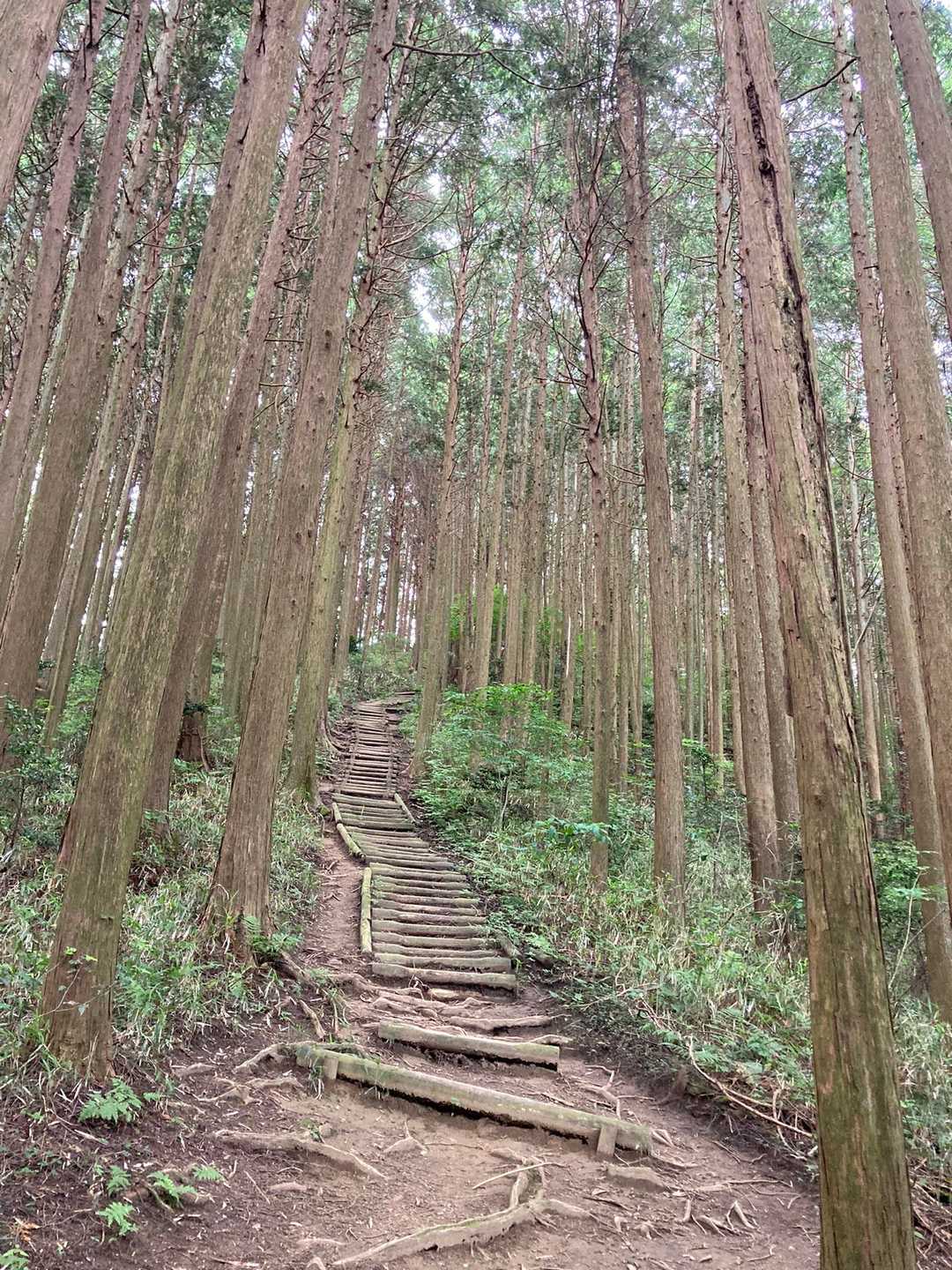 平石峠-万才山-岩橋山-登山口 周回コースの写真