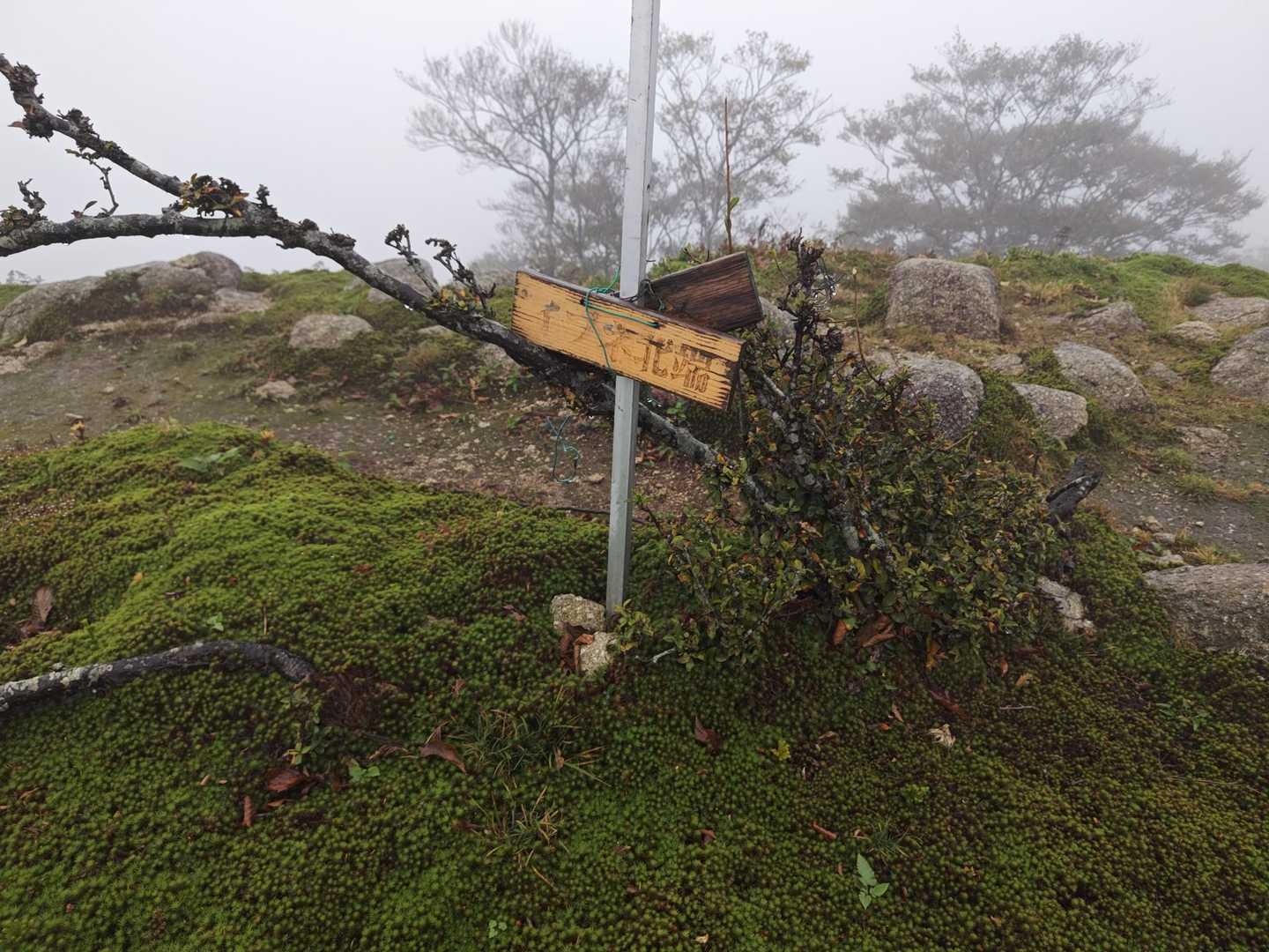イブネ北端