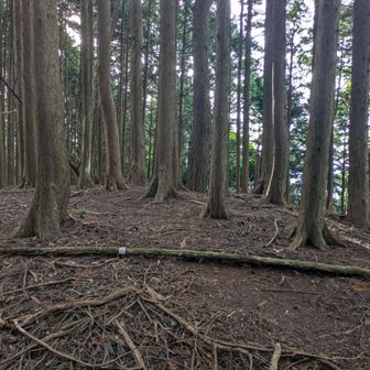 白雲岳です！
何もないです！！
よろしくお願いします！！！🖐️