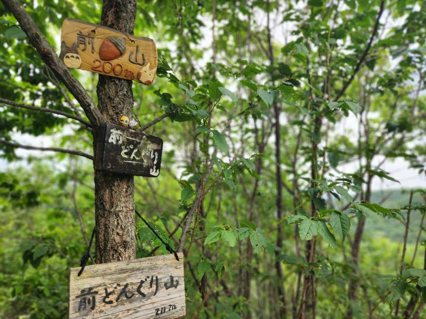 前どんぐり山

この山は前にも登りましたが、その頃はトトロたちが居なかったので、見るのを楽しみにしてました🤗
すごい素敵な銘板✨
