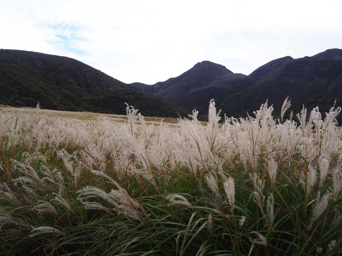 ばいばい🌾