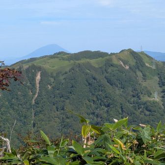見慣れた景色じゃない〜🤣