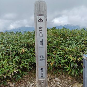 中々ガスが取れそうにないので、帰りましょうか😅
