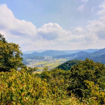 頂上の景色(ت)