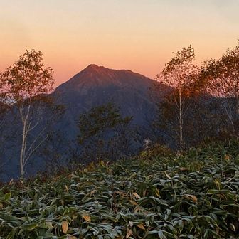 高妻山も明後日往く予定！