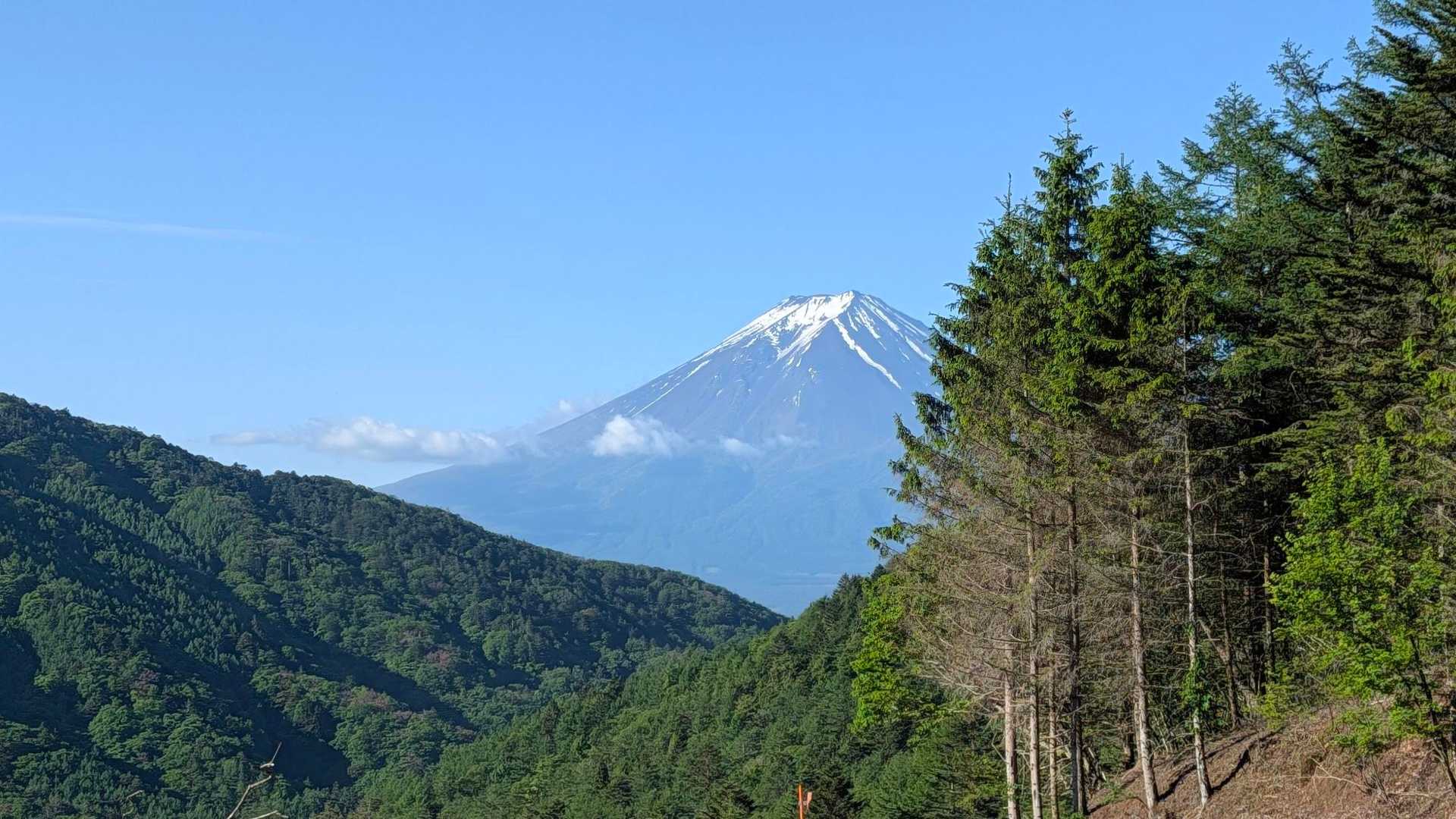 三ッ峠山登山口-大幡八丁峠-清八山-清八峠-本社ヶ丸 往復コースの写真