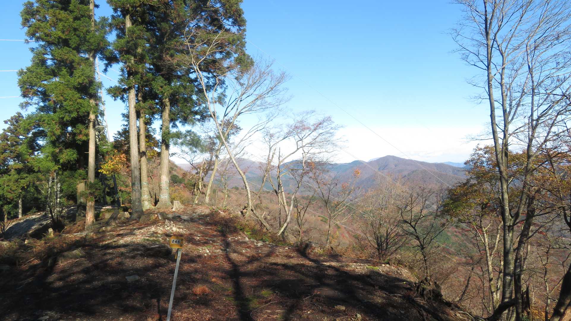 展望が開けていた