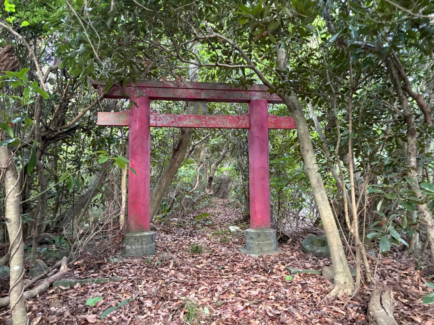 お邪魔します🙏