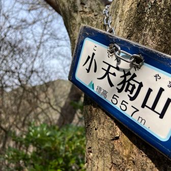 やっとのことで