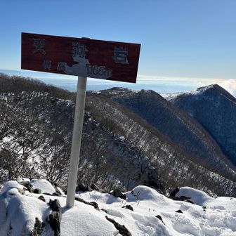 👺頂きました。