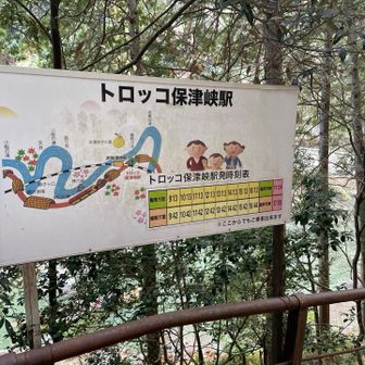 が、目の前トロッコで行ってしまう😭
そりゃそうだ。大人2人、時刻表をなぜ調べなかったか今となっては謎😓
確認したら次は1時間後でした😱