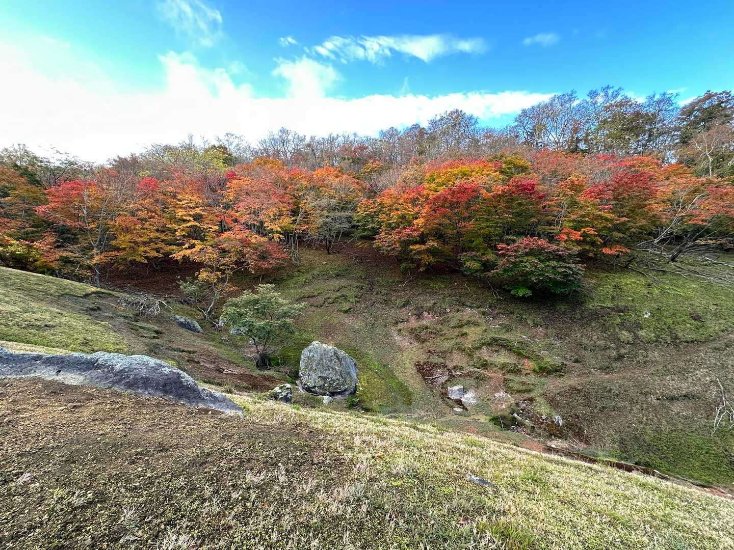 ポンポン山登山口-ポンポン山 往復コースの写真
