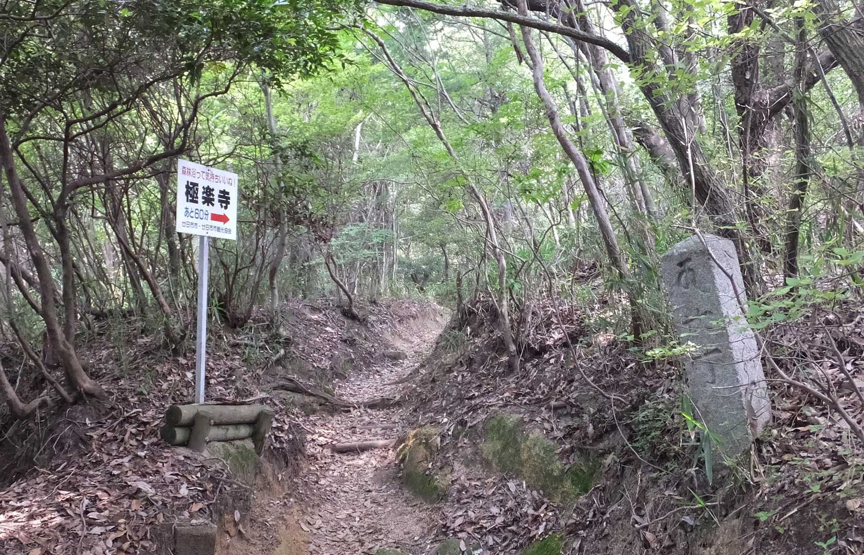 いい道