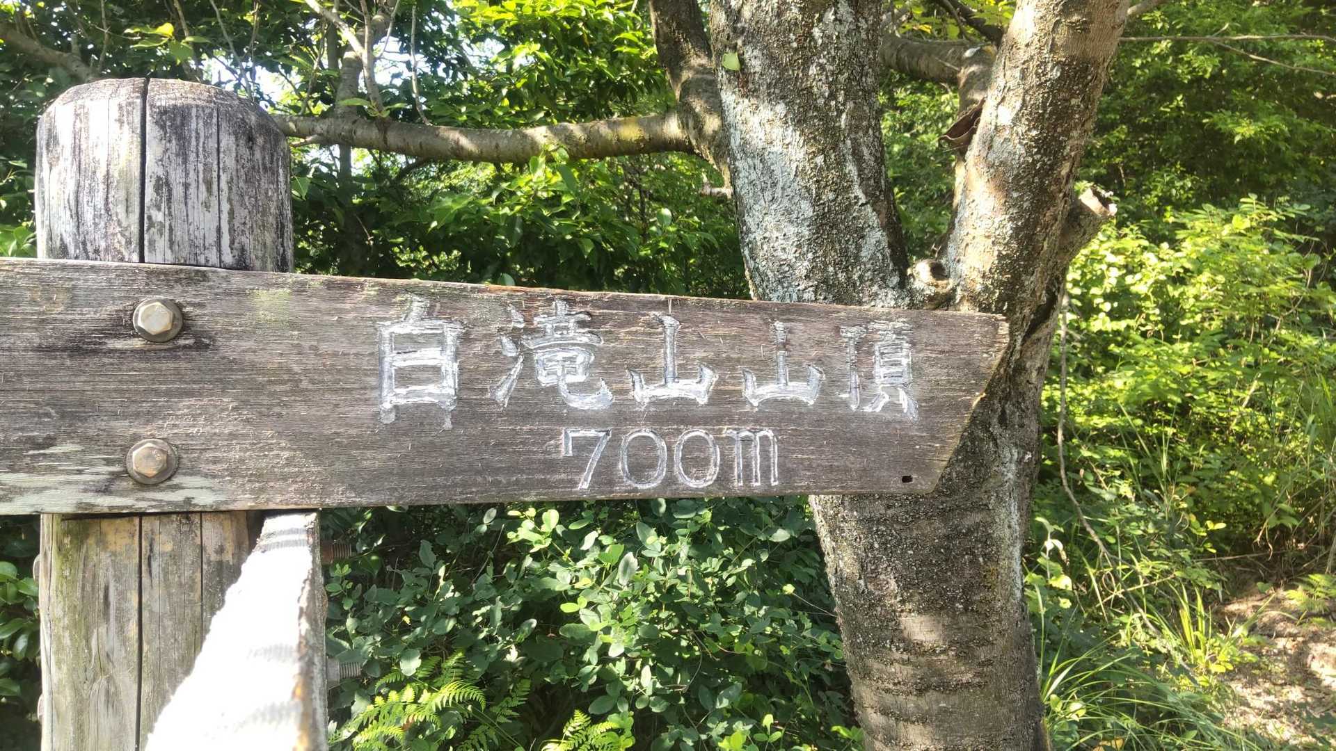 白滝山 往復コースの写真