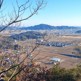 金華山をバックにのどかな田園風景