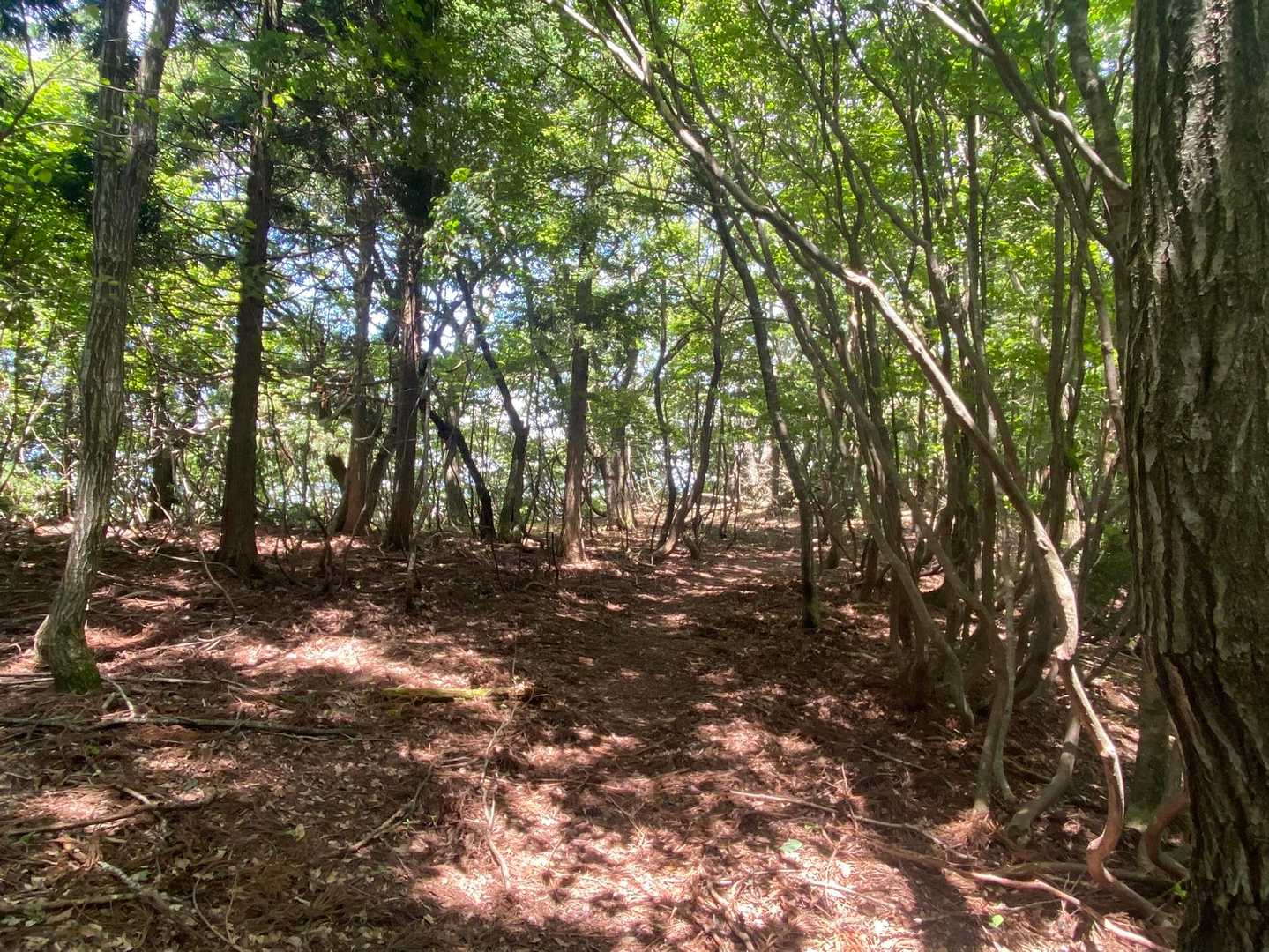 左に向かう