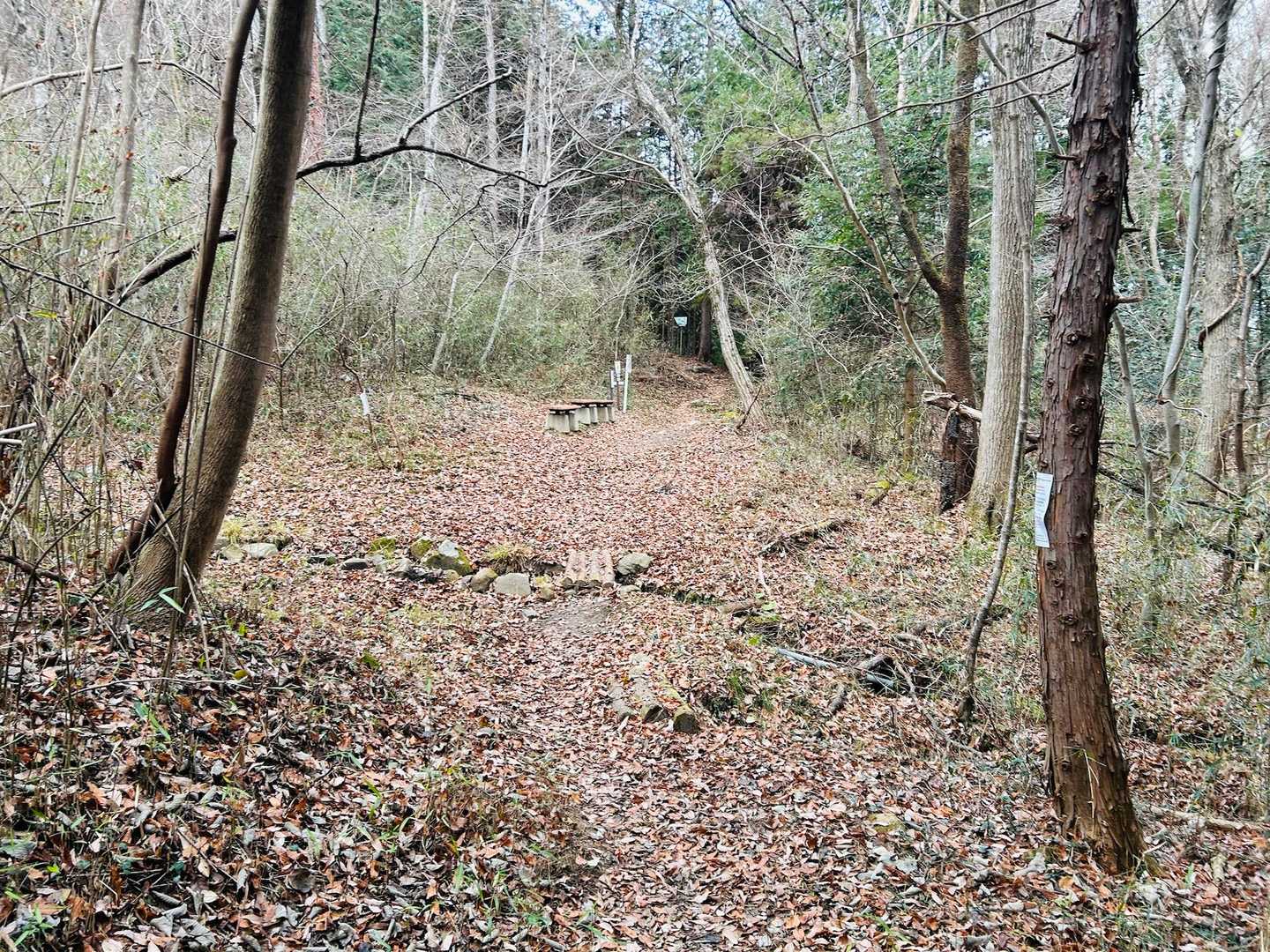 鳥越峠-お別れ峠-鷹討山 縦走コースの写真