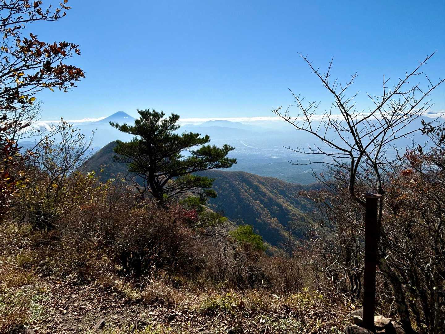 茅ヶ岳のような眺望はないけど、一応富士山も見える