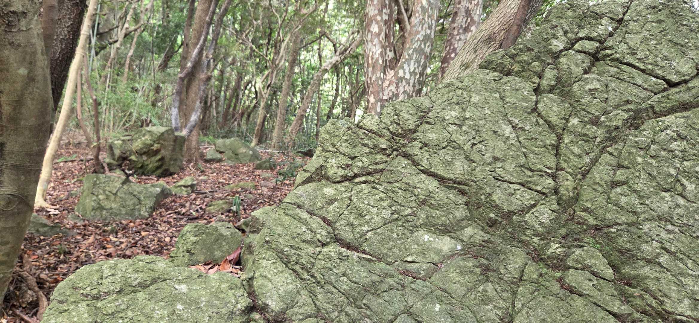 大岩の夫婦岩の間を割って通り過ぎてみたよ…後利益は無さそうだけどね