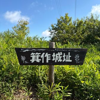 やっと山頂
山頂までやたら長く感じた💦