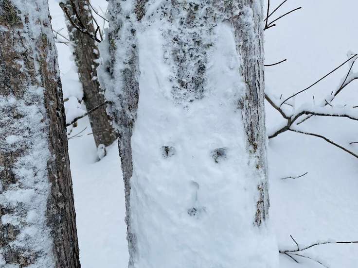 タケノコ山（北海道） | YAMAP / ヤマップ