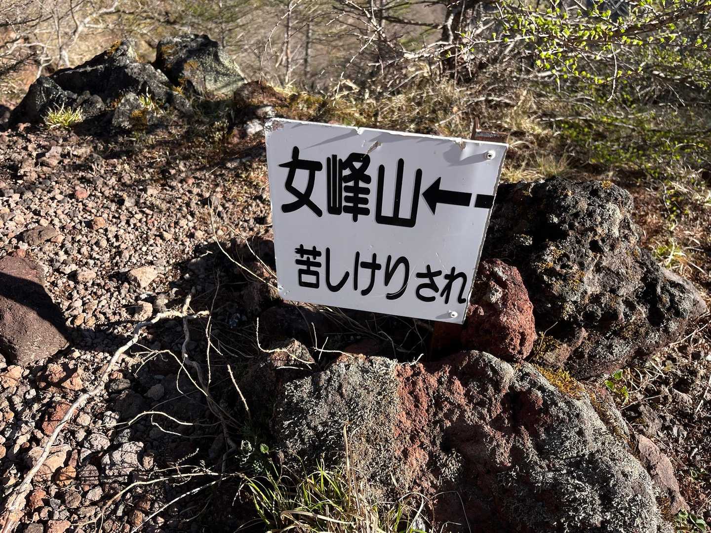 ここまで地味に長かった