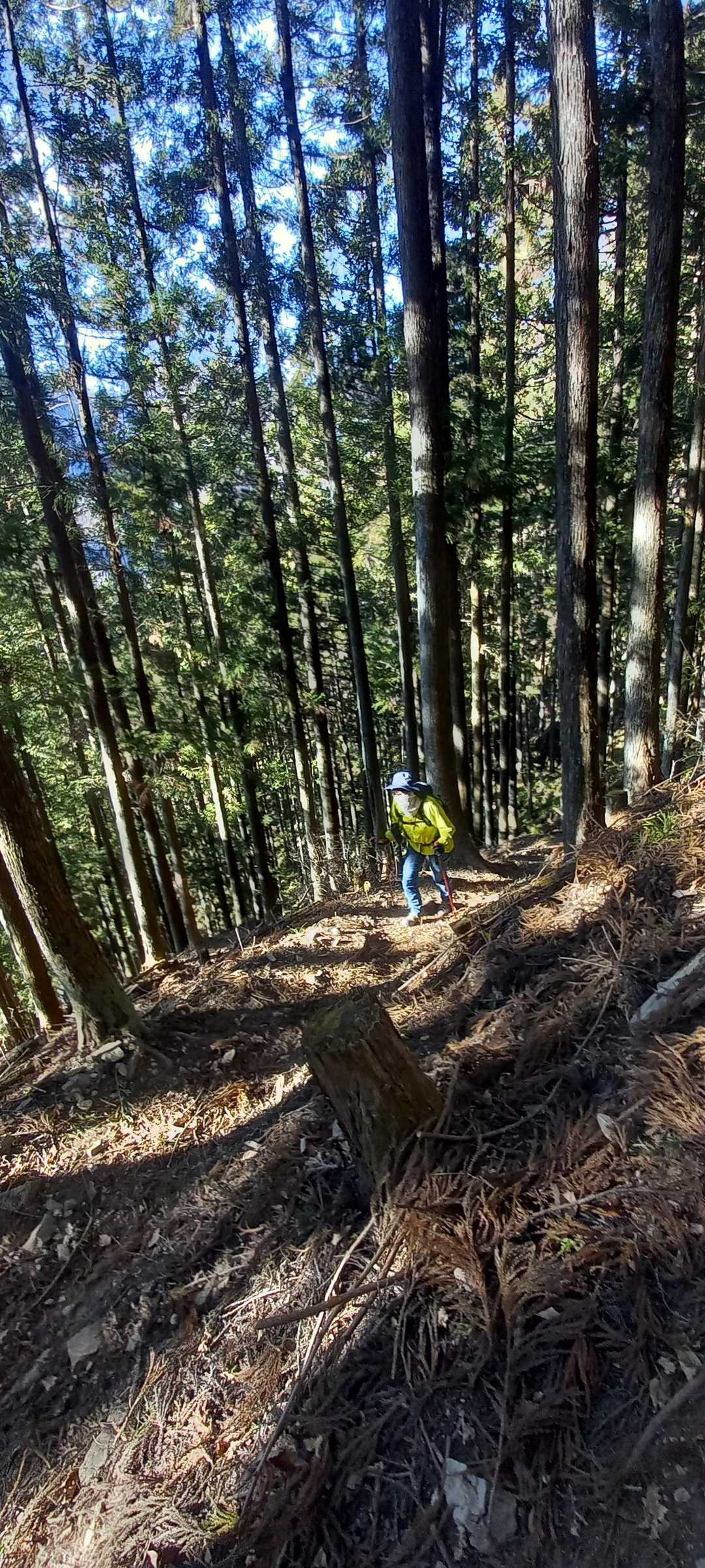 鹿岳登山口-鹿岳 往復コースの写真