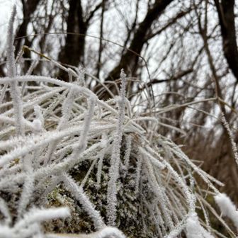 霧氷は…
湯気が出ている箇所のみ見ることが出来ました。😄
やはり、水気が霧氷には必要です。