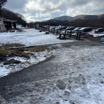 そこそこの車🚗🚙