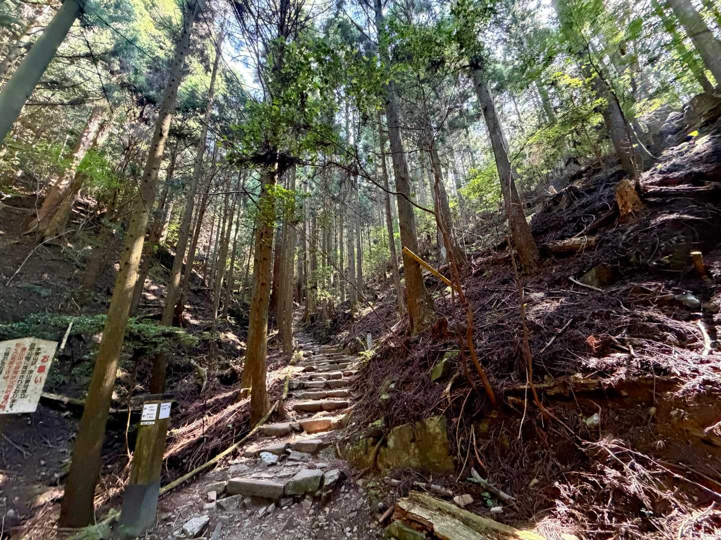 久しぶりに景色を見ながら登る