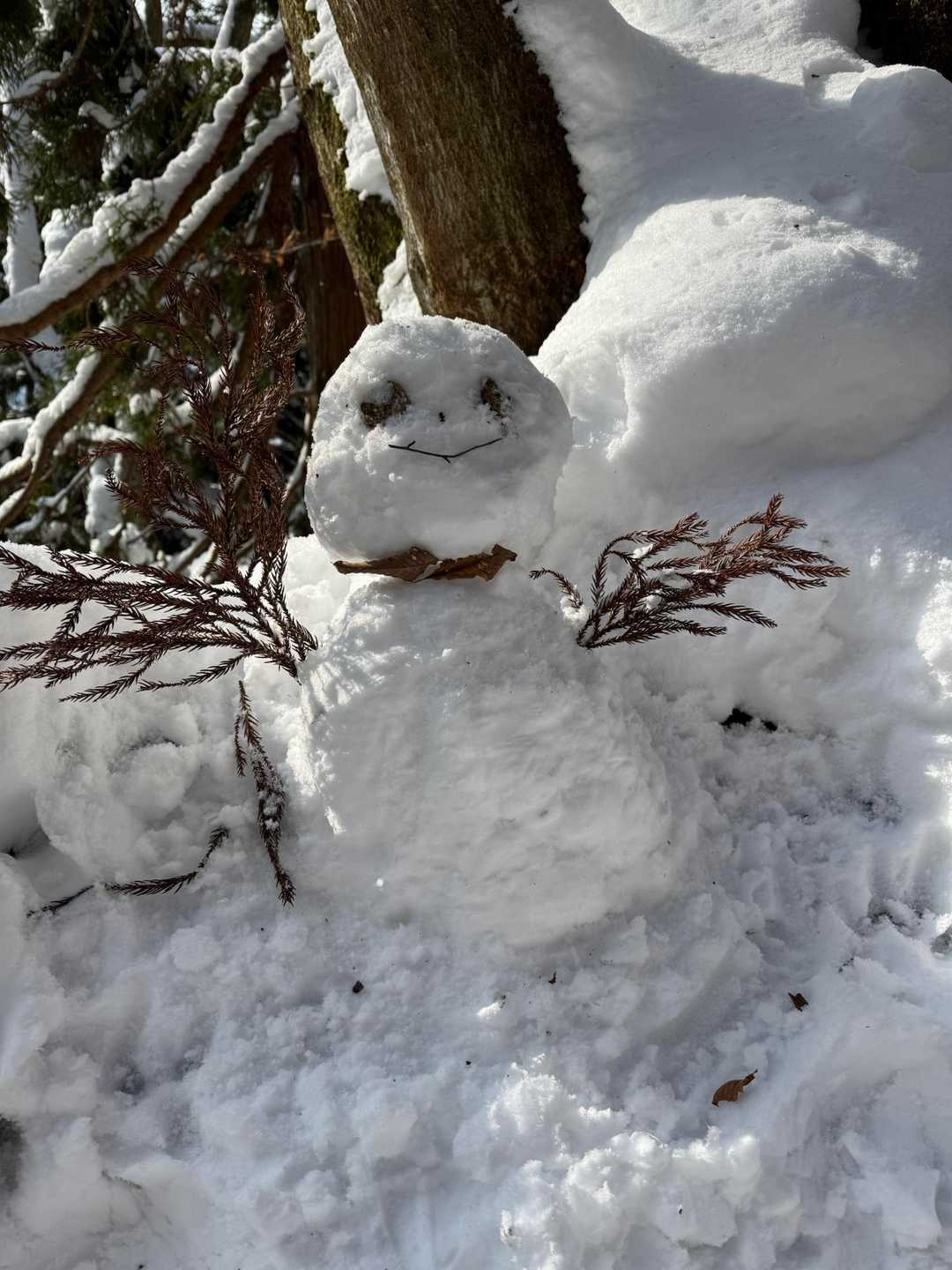 🍎ちゃん作の⛄️
皆んなで🖐️やら👀とか探したよっ