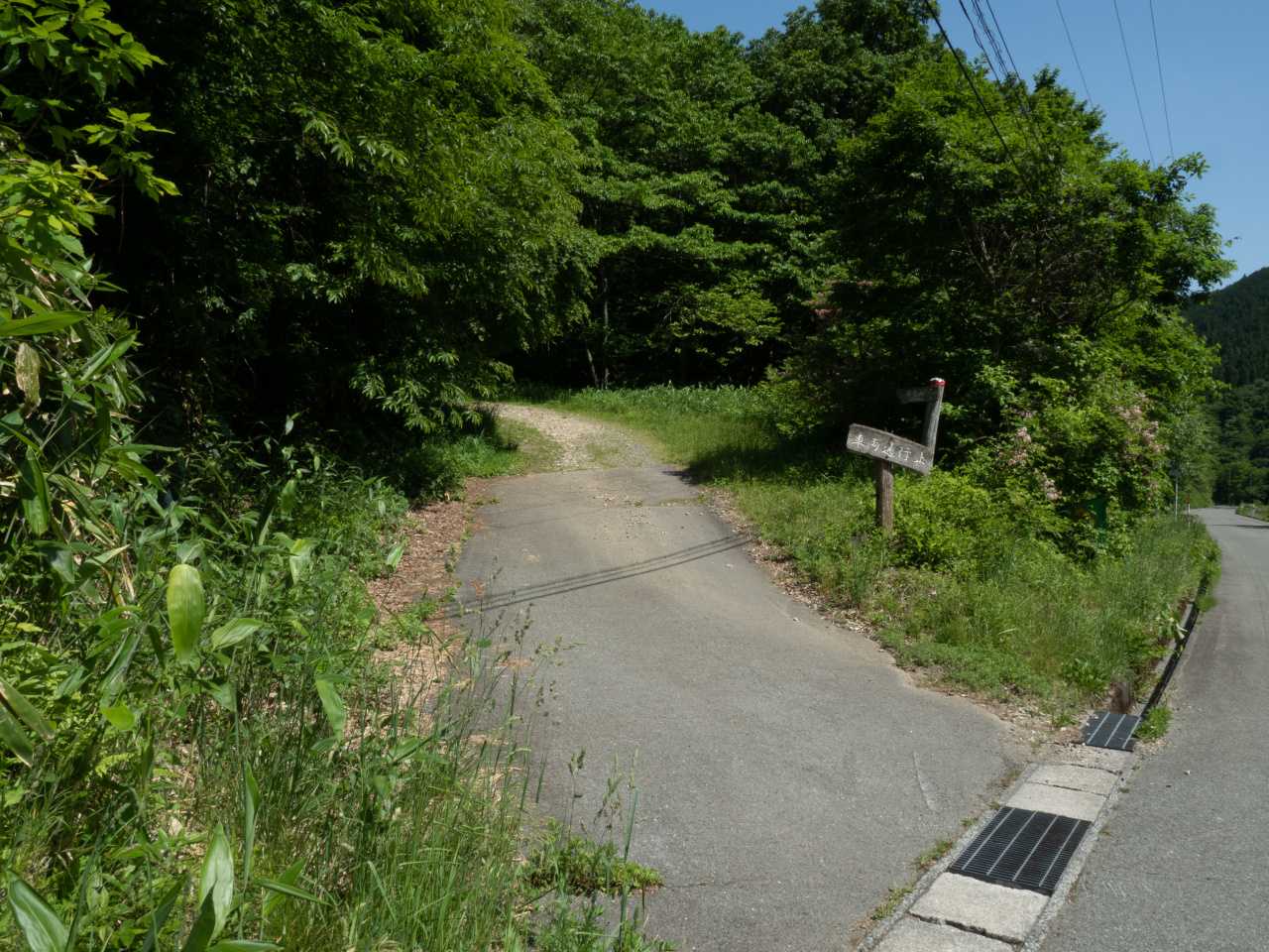 ここから登っていく。