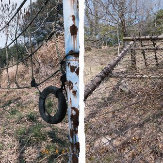 今、学校は春休みなのだが
子供は誰一人遊んで無い